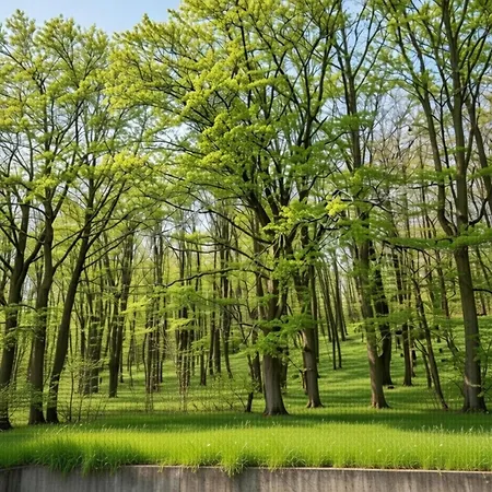 Appartement Hambachtal Boutique