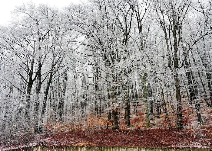Apartment Hambachtal Boutique
